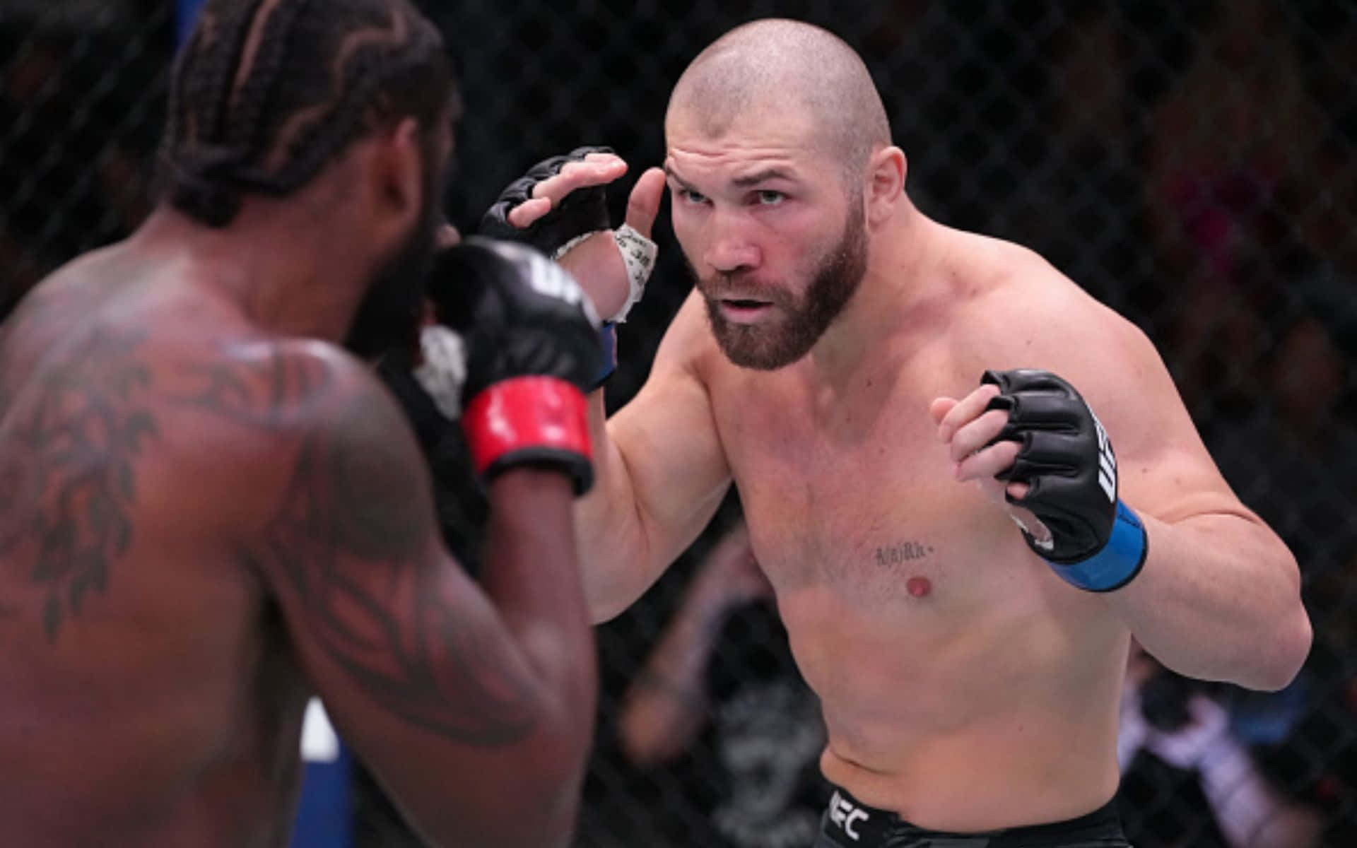 Ryan Spann, octagon, fighters, Full HD Desktop Wallpaper