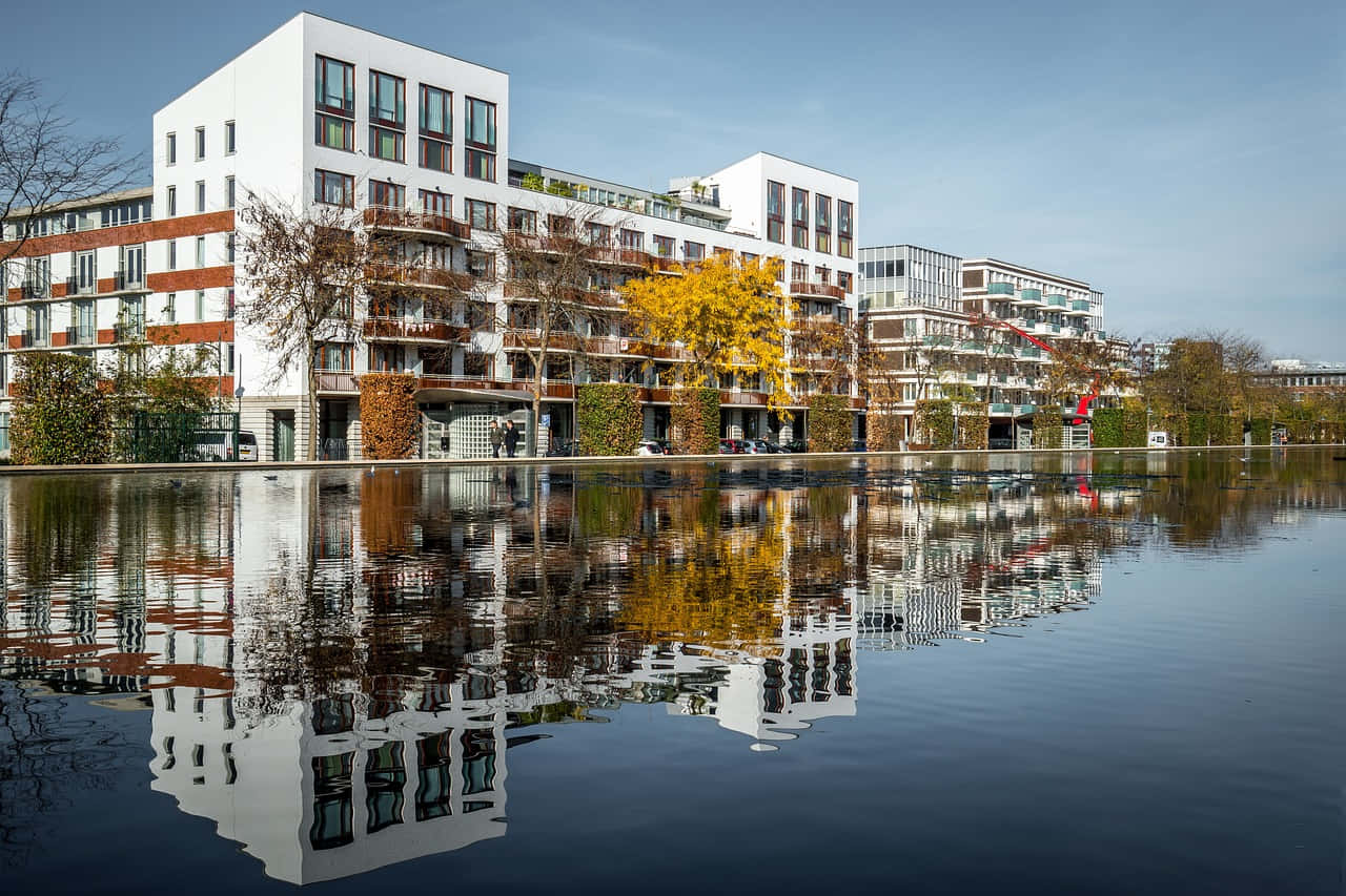 S-hertogenbosch, modern white apartment buildings, autumn trees, HD Desktop Wallpaper