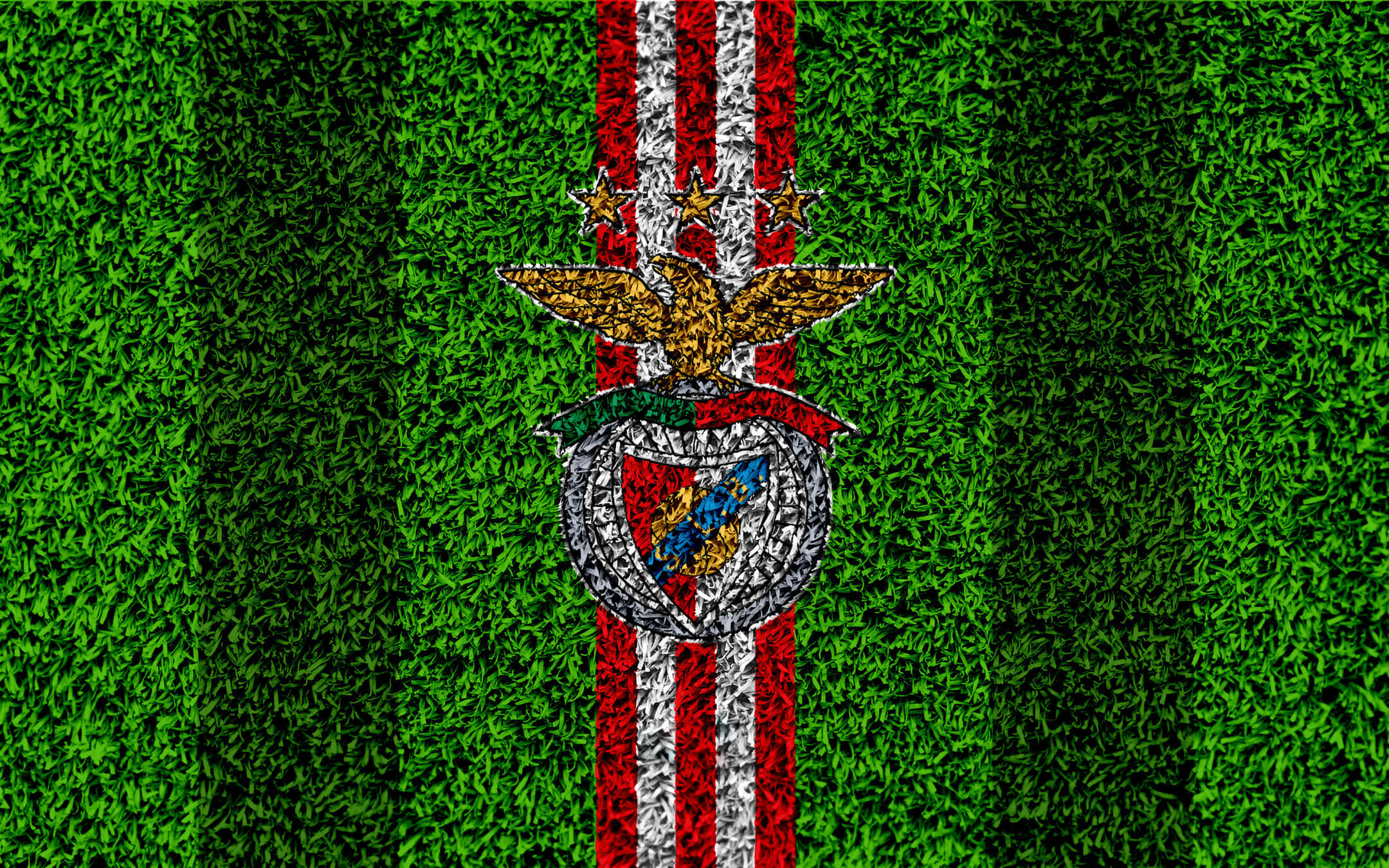 S.l. Benfica, crest, vibrant green grass, Full HD Desktop Wallpaper