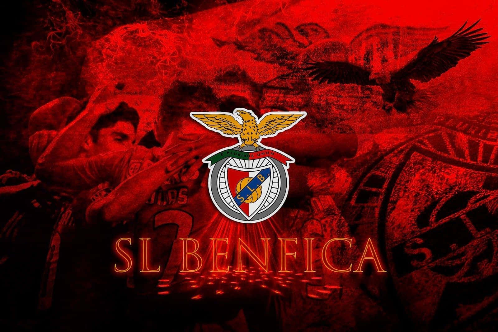 S.L. Benfica, golden eagle, crest, HD Desktop Wallpaper