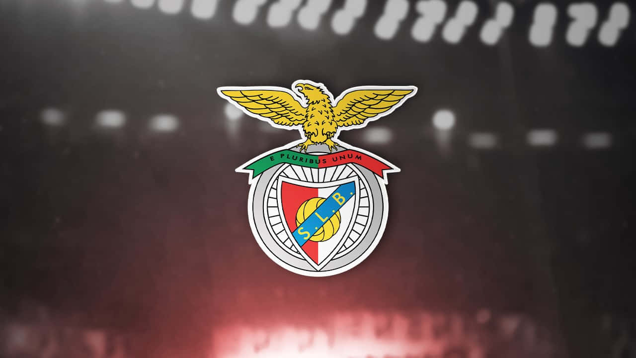 S.l. Benfica, golden eagle emblem, red green and blue shield, HD Desktop Wallpaper