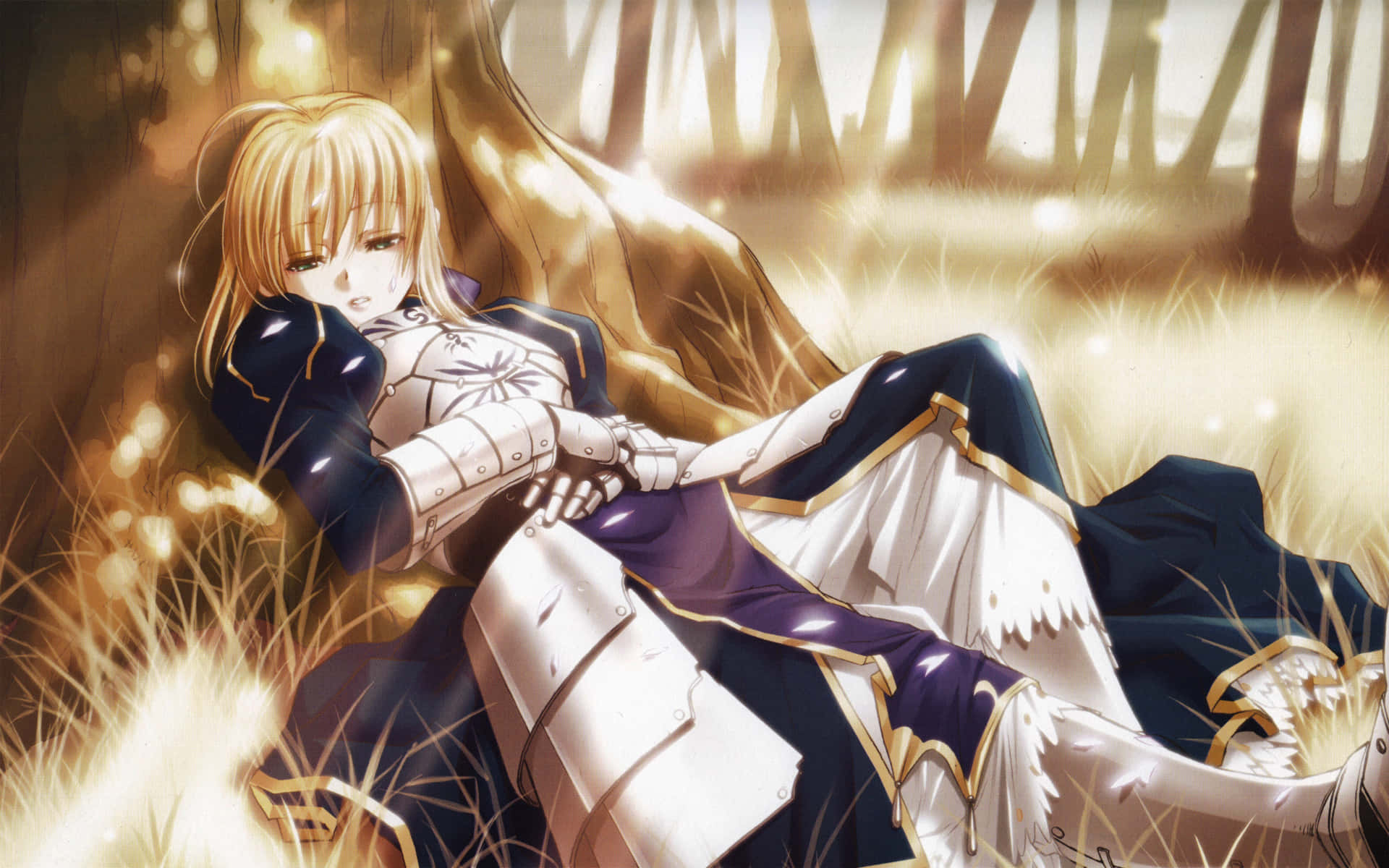 Saber Fate Stay Night Sleeping On Tree, Full HD Desktop Wallpaper