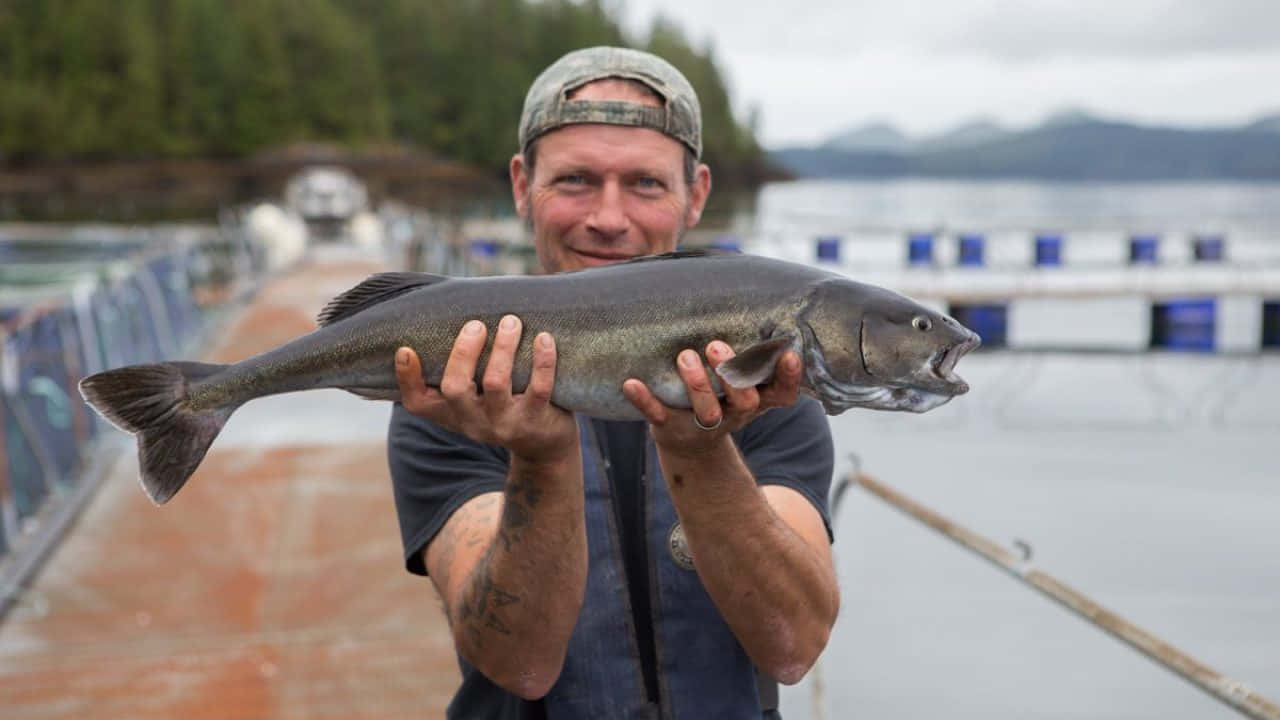 fisherman, sablefish, aquaculture farm, HD Desktop Wallpaper