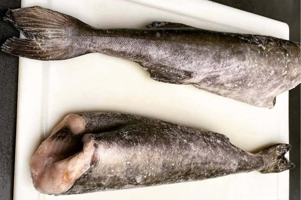 Sablefish, cutting board, white cutting board, SD Desktop Wallpaper