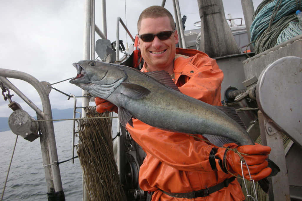 fisherman, large sablefish, orange gear, SD Desktop Wallpaper