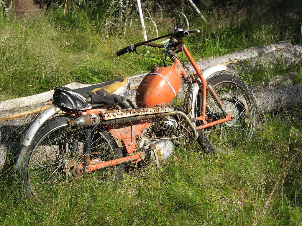 An old rusty orange motorcycle with a round fuel tank rests abandoned in tall green grass beside a fallen log., SD Desktop Wallpaper