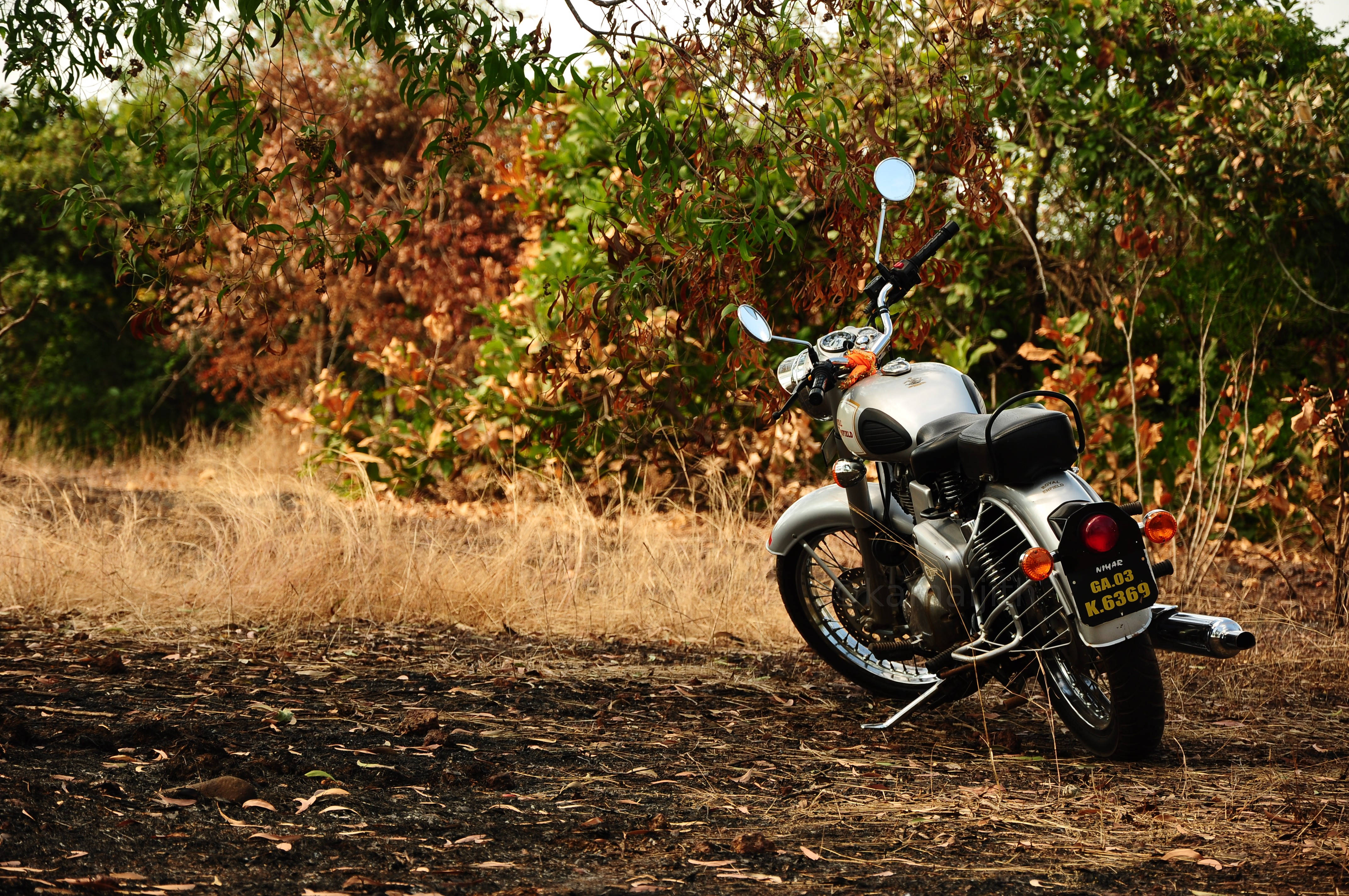 A silver classic motorcycle parked on a dirt path under leafy trees with autumn foliage in the background., 4K Desktop Wallpaper