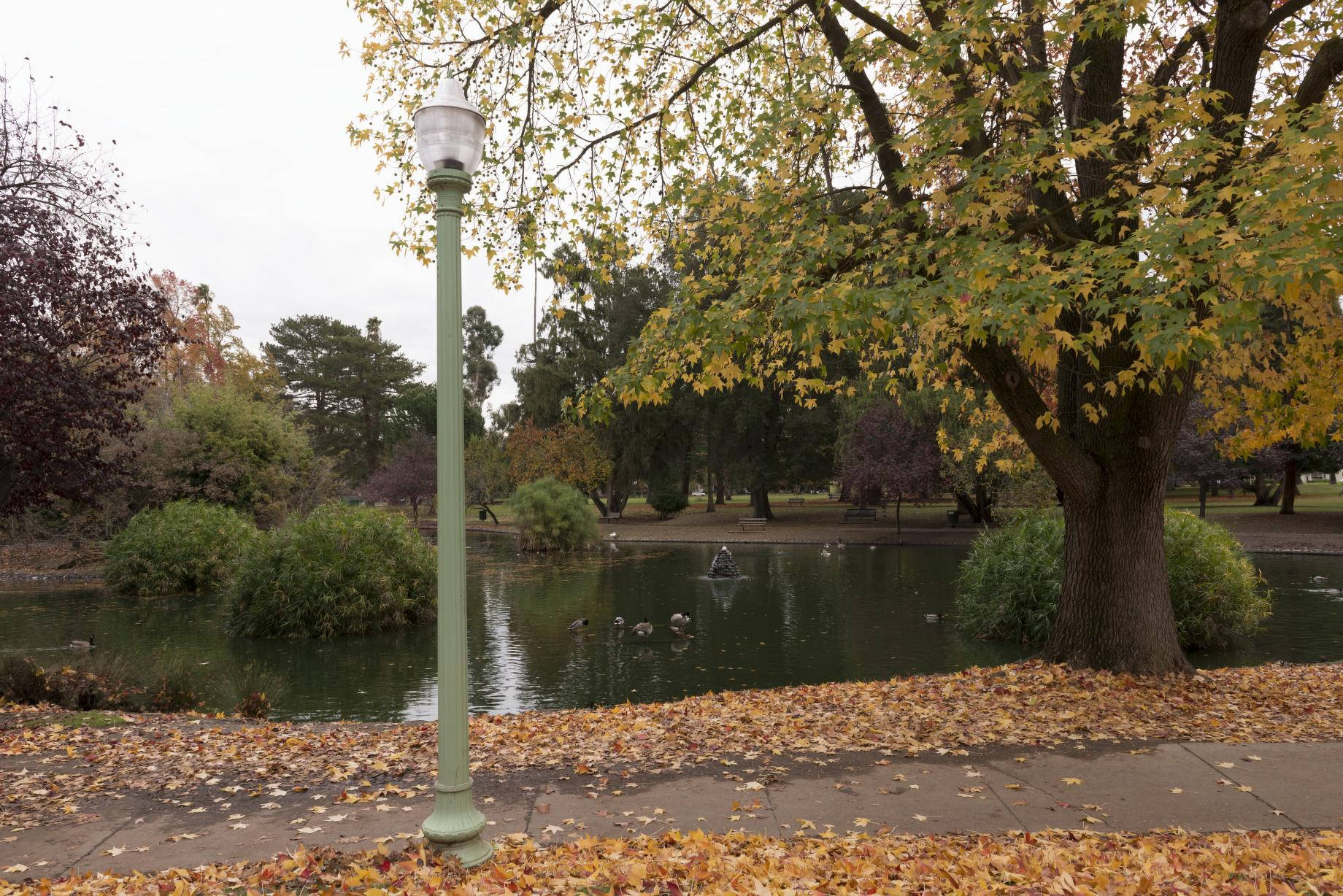 Sacramento, autumn park scene, pond, HD Desktop Wallpaper