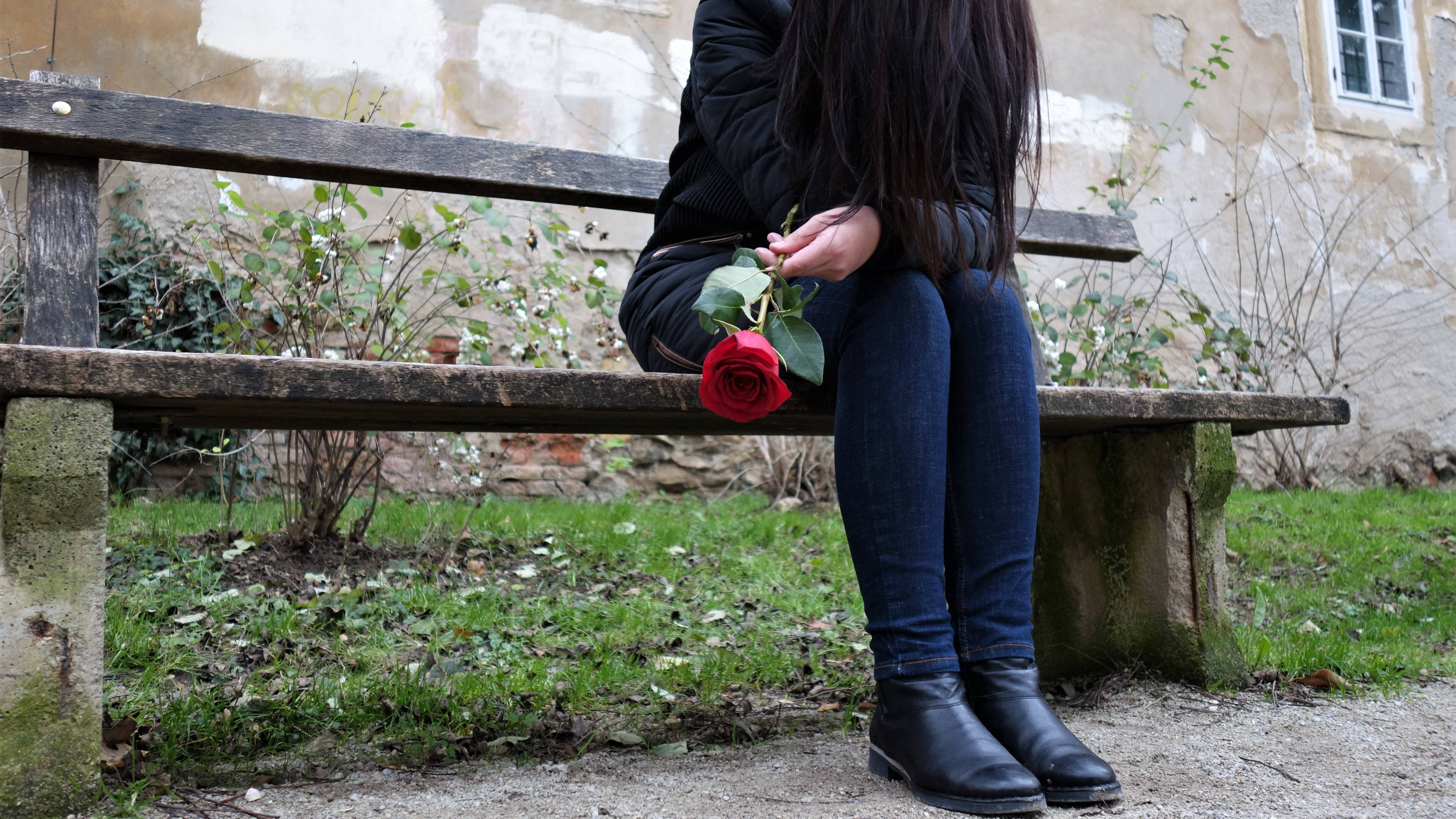 woman, rose, red rose, 4K Desktop Wallpaper