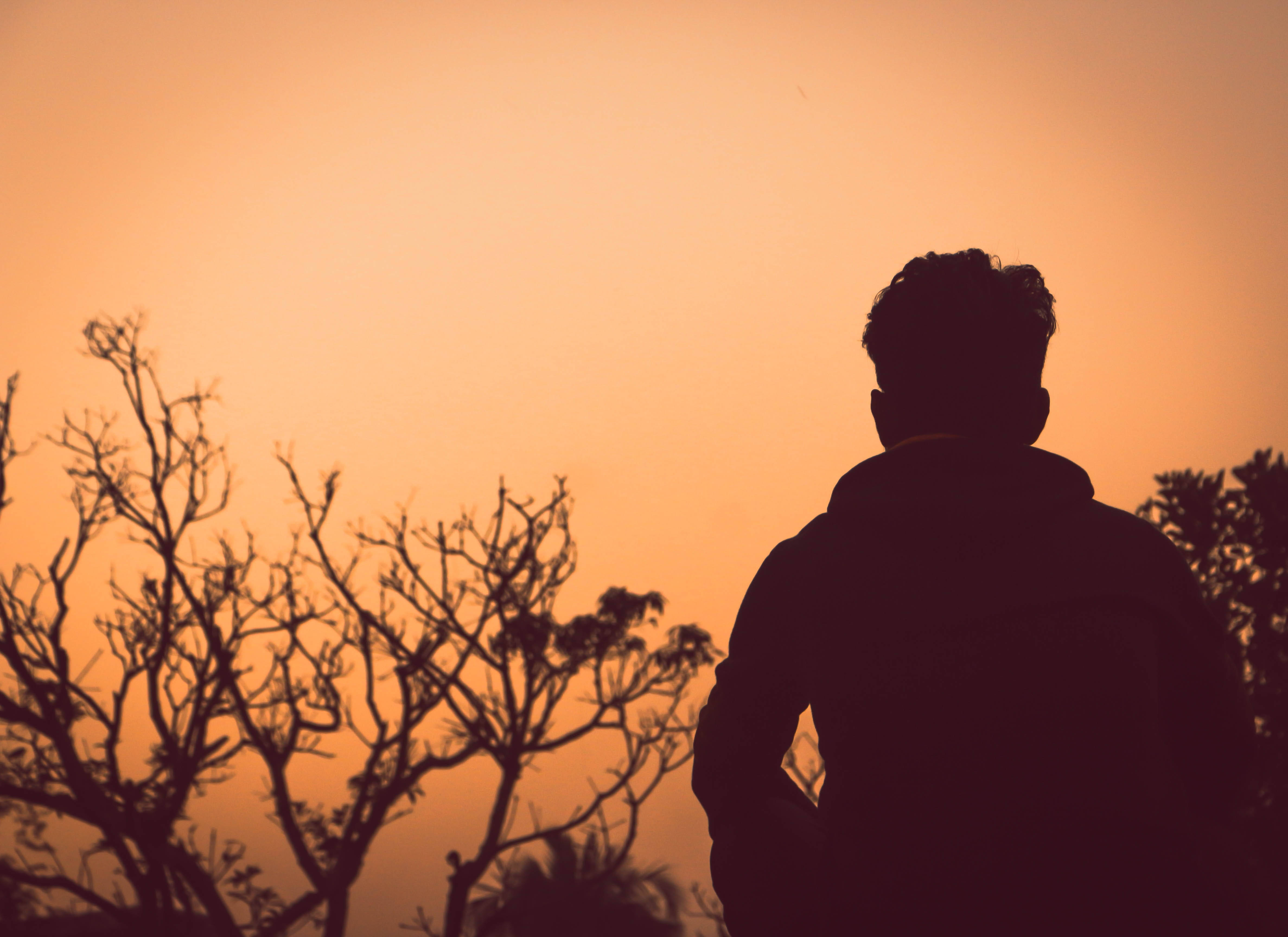 silhouette of man, warm orange sunset, bare tree branches, 4K Desktop Wallpaper