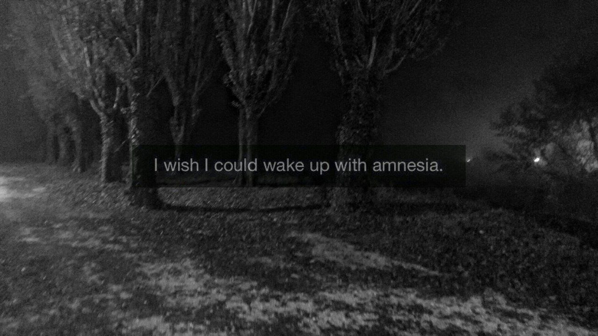 A haunting black and white night scene of bare trees lining a misty path with a melancholic text overlay., Full HD Desktop Wallpaper