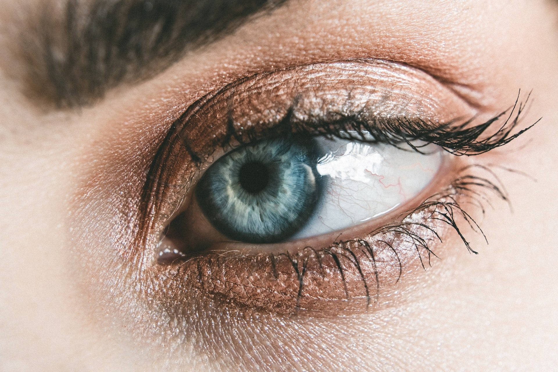 A close-up of a human eye with striking blue iris and shimmering bronze eyeshadow., Full HD Desktop Wallpaper