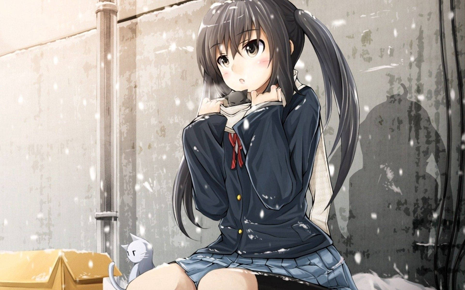 anime girl, dark pigtails, cat, Full HD Desktop Wallpaper