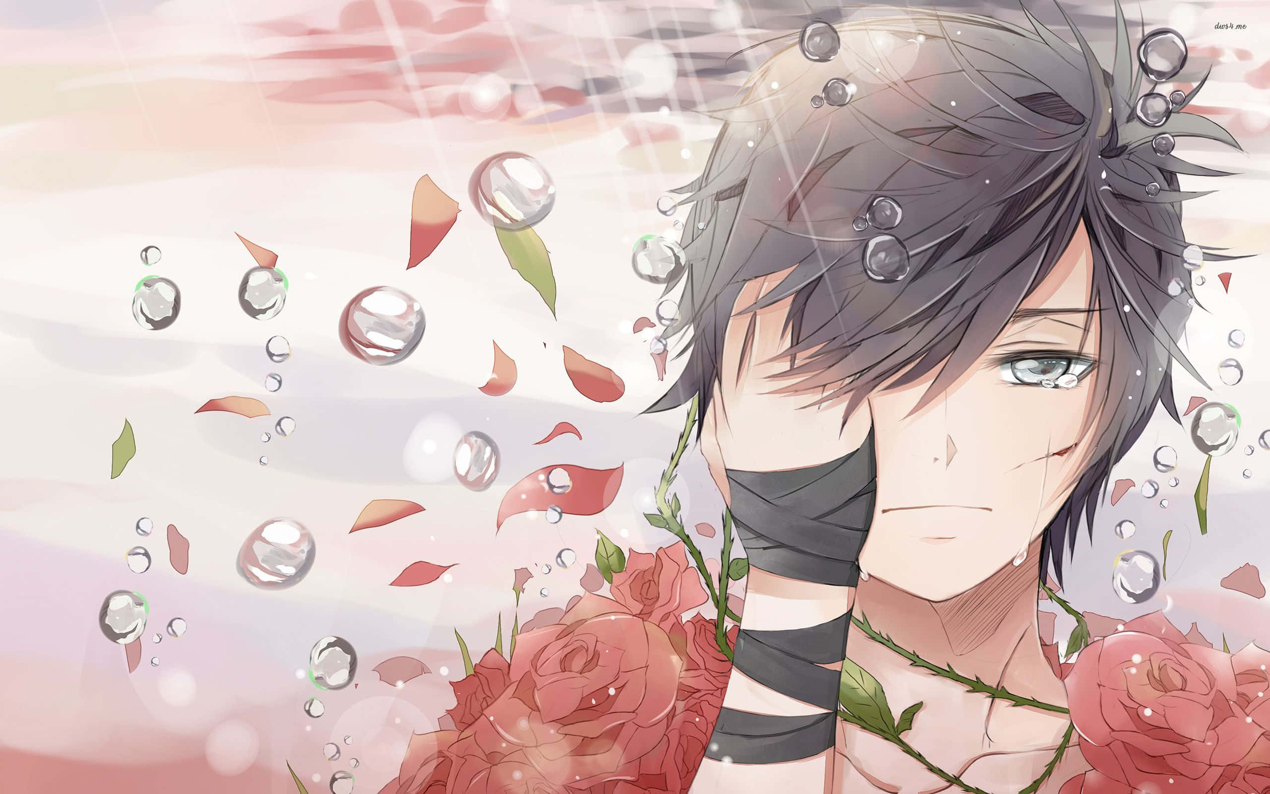 Rose Boy, gray hair, rose thorns, 2K Desktop Wallpaper
