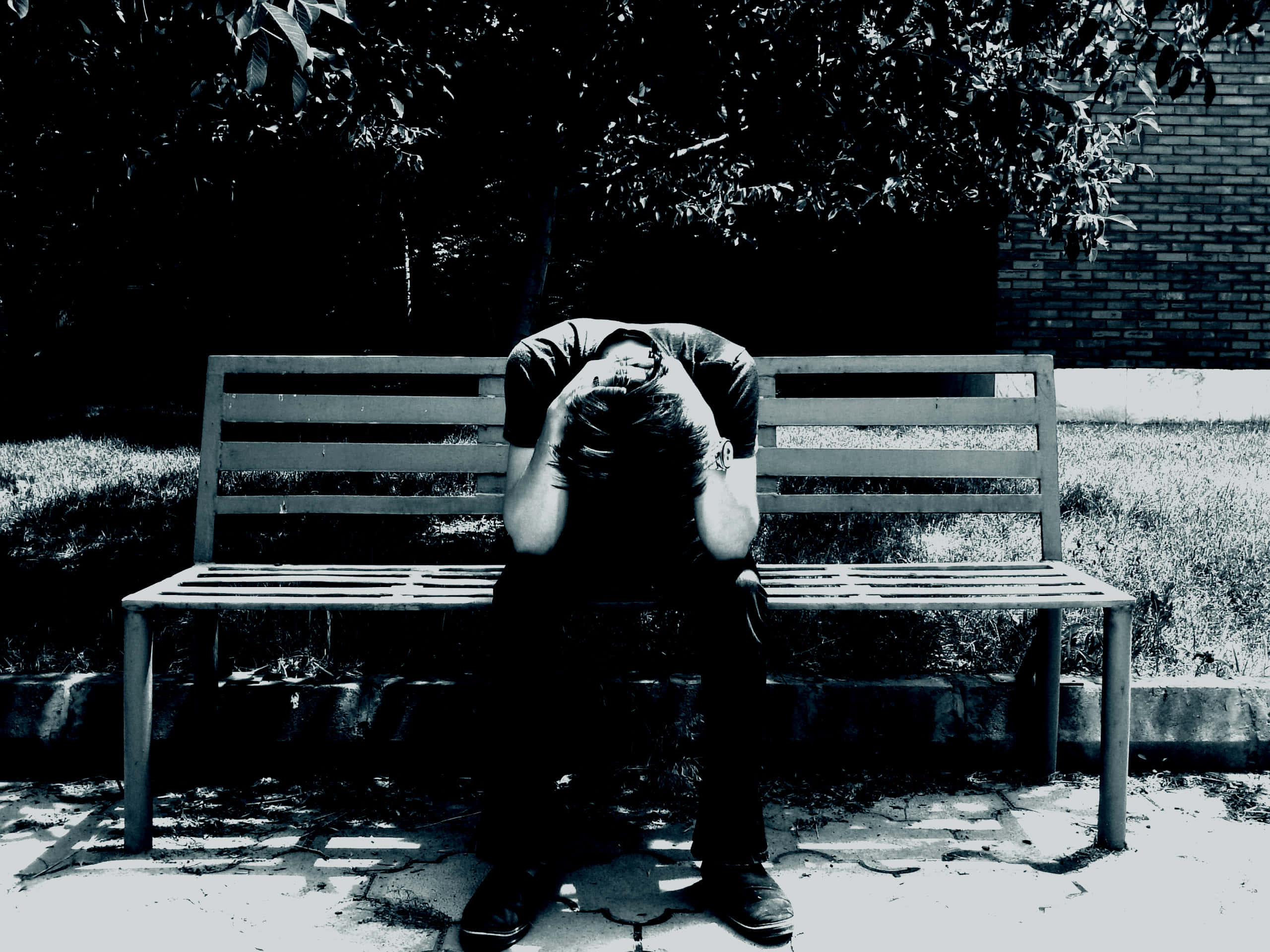 Cool Sad Boy Crying On Bench, 2K Desktop Wallpaper