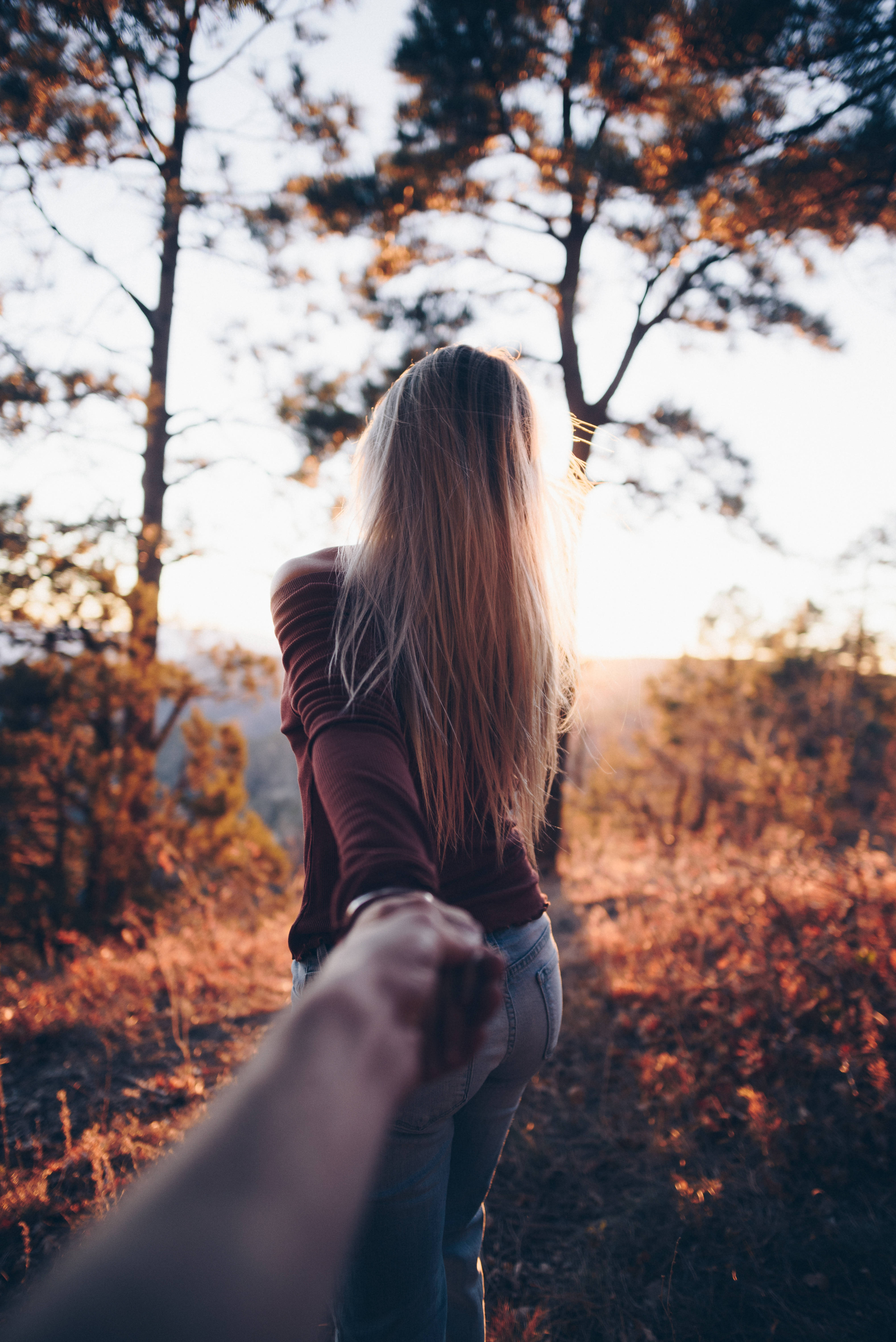 A person walks hand in hand with a woman through a sunlit pine forest at golden hour., 5K Phone Wallpaper