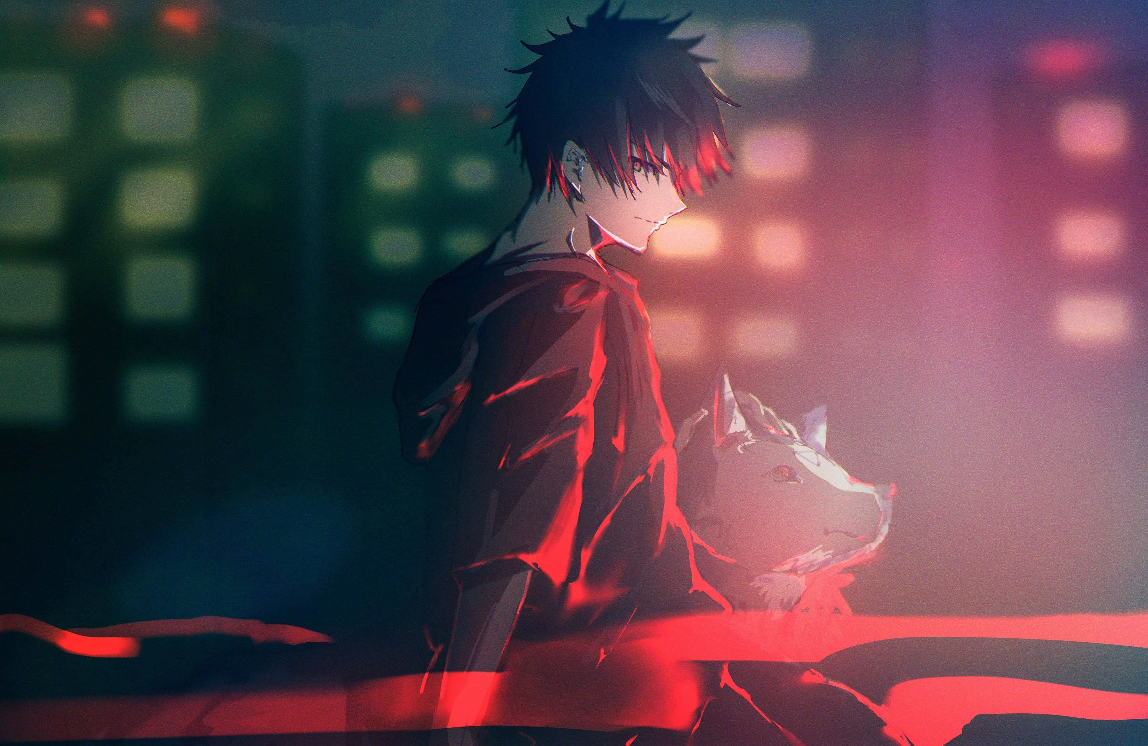 Cool Sad Boy With His Dog, 4K Desktop Wallpaper