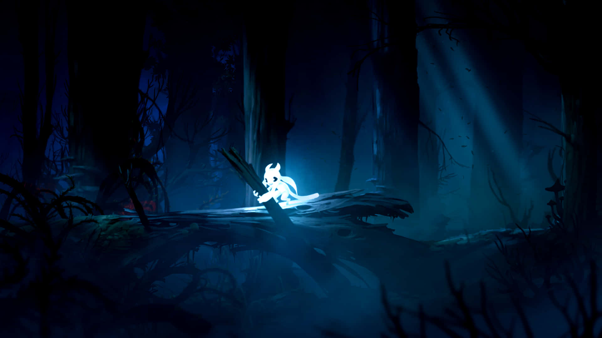 glowing white fox, fallen log, dark blue misty forest, Full HD Desktop Wallpaper