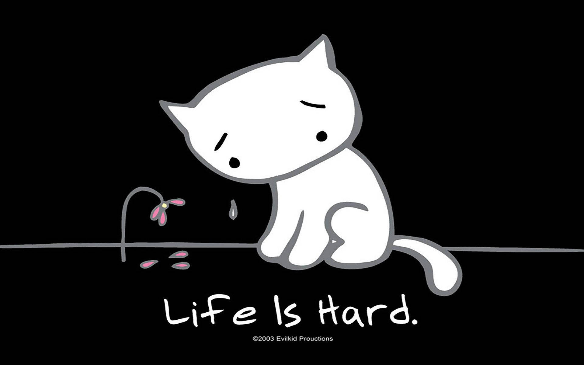 white cartoon cat, sad expression, wilting pink flower, Full HD Desktop Wallpaper