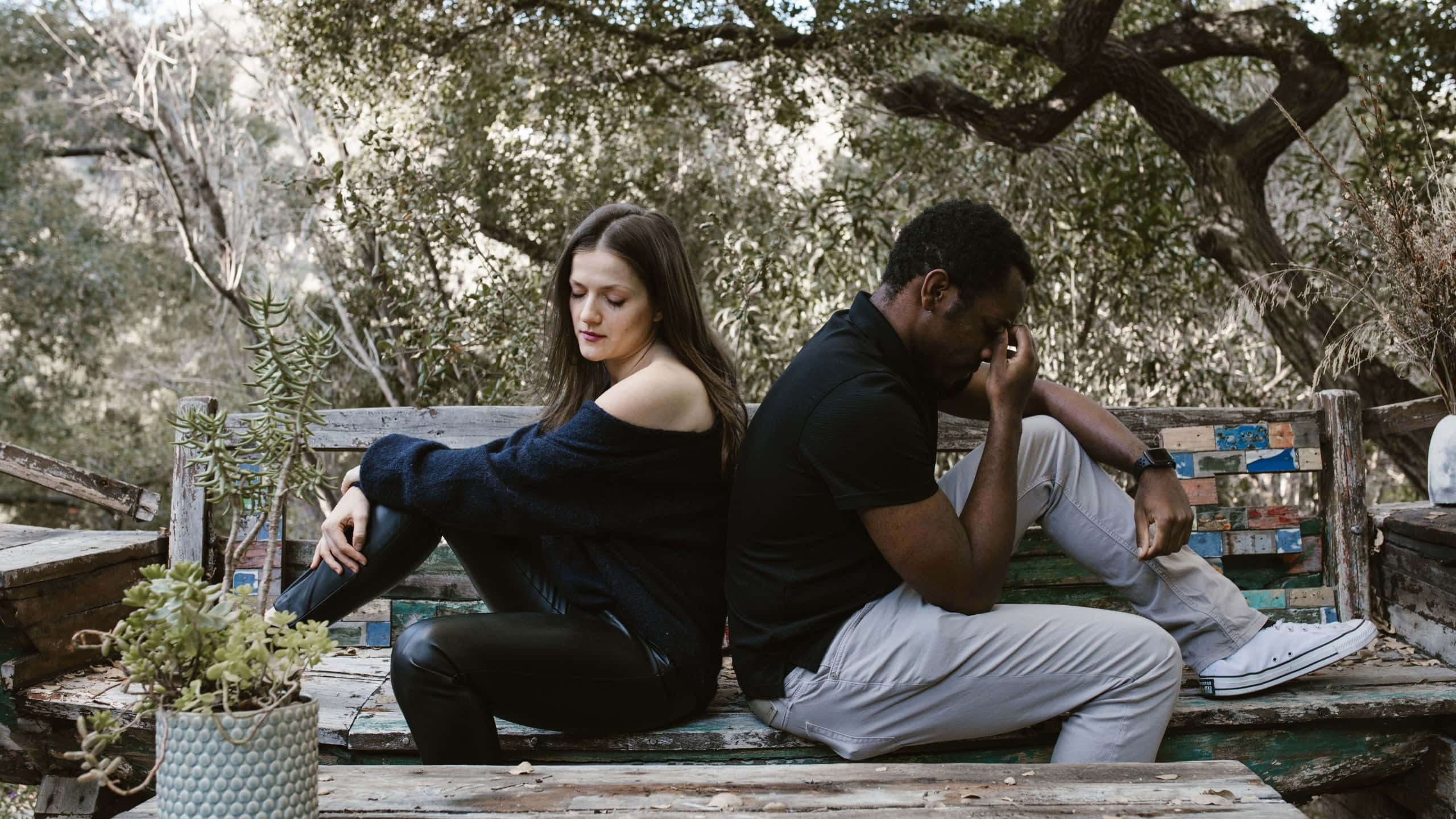 sad couple, weathered wooden bench, leafy trees, 2K Desktop Wallpaper