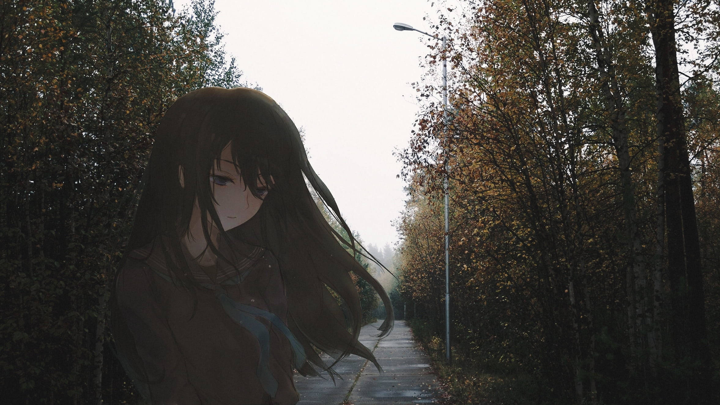 anime girl, long dark hair, misty autumn path, Full HD Desktop Wallpaper