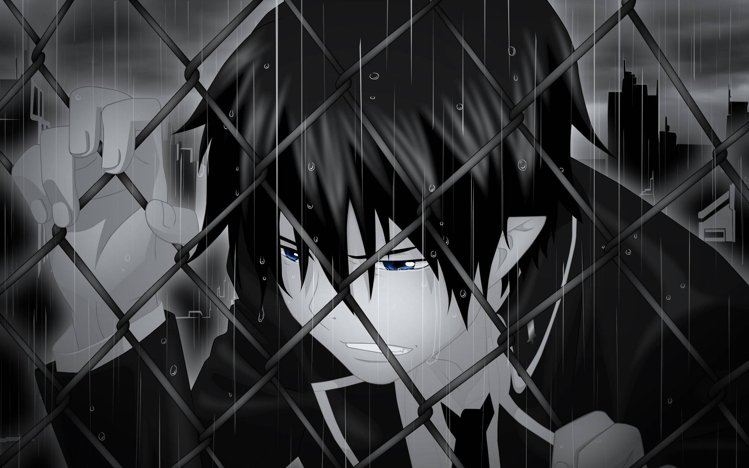 Sad PFP, rain-slicked chain-link fence, blue eyes, 2K Desktop Wallpaper