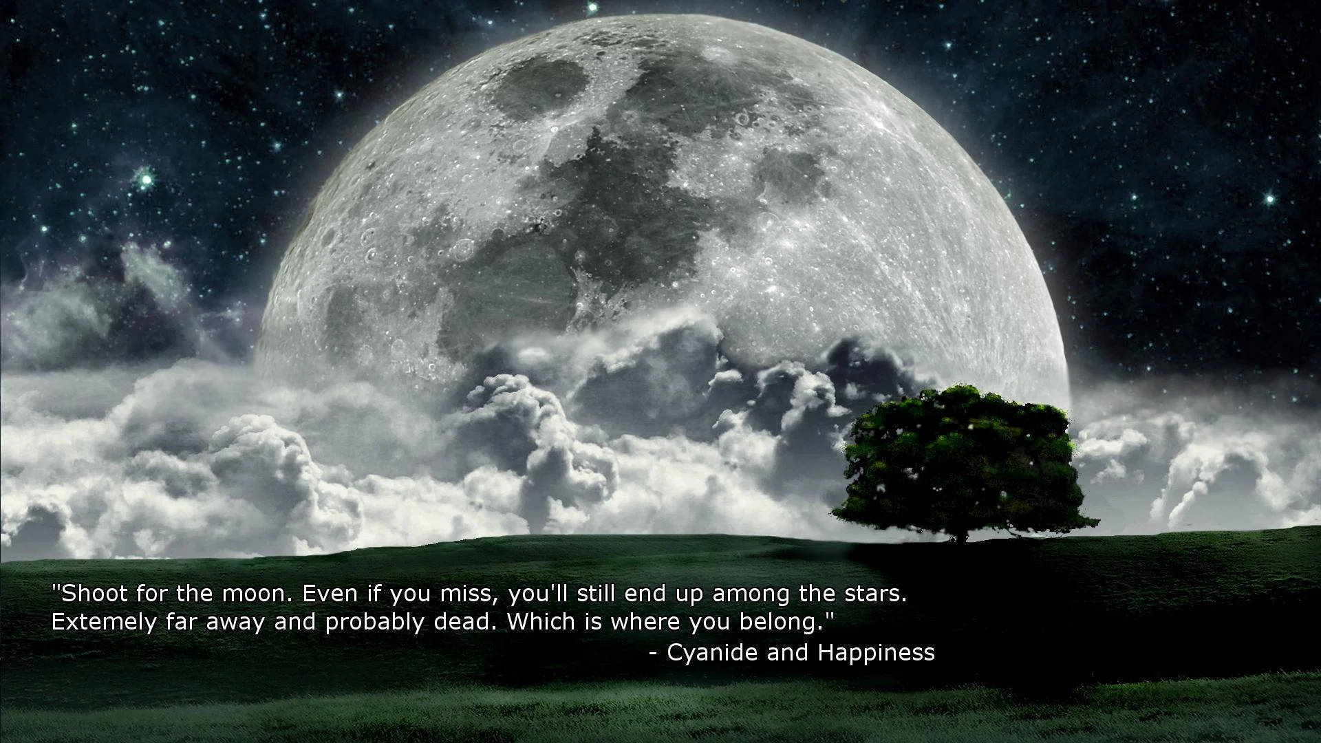 The Moon, starry clouds, lone tree, Full HD Desktop Wallpaper