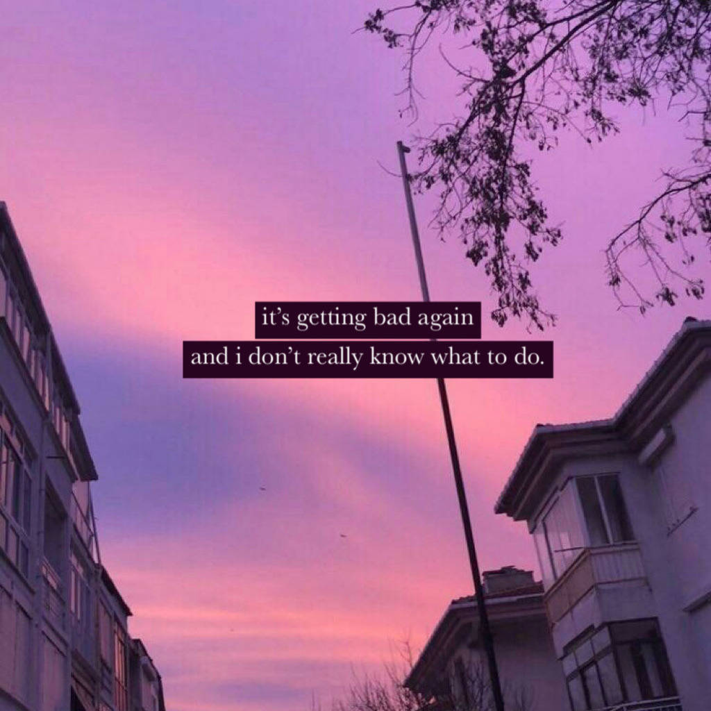 one sided love sunset quote, purple and pink twilight sky, bare tree branches, SD Desktop Wallpaper