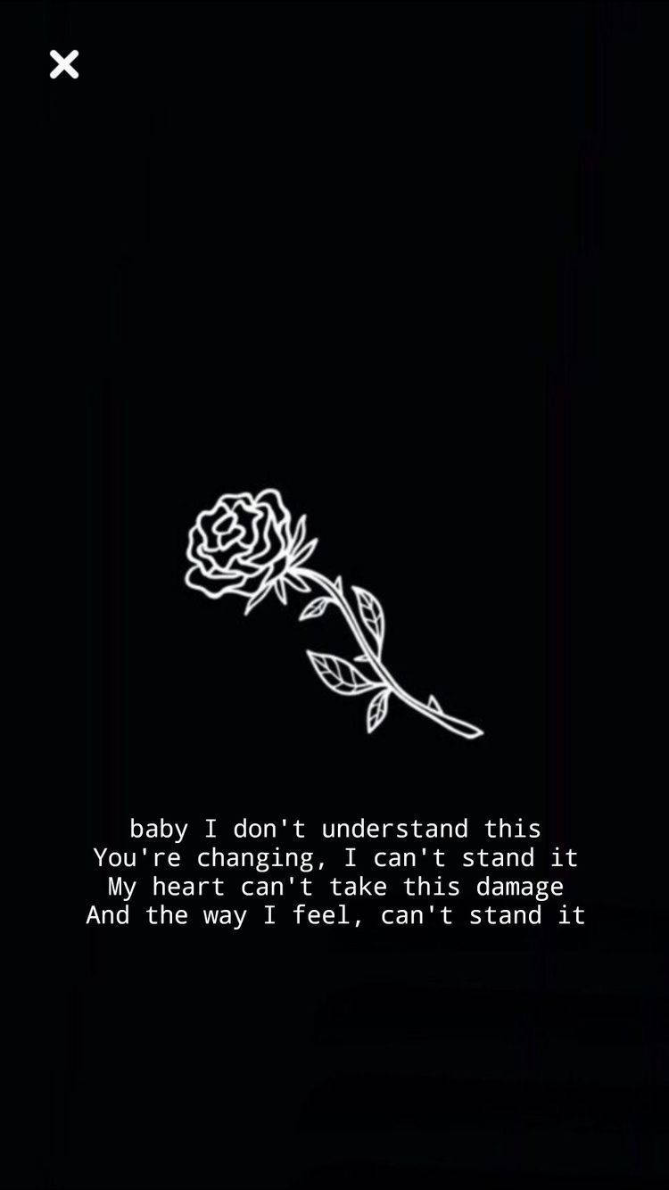 rose outline, white line drawing, black background, HD Phone Wallpaper