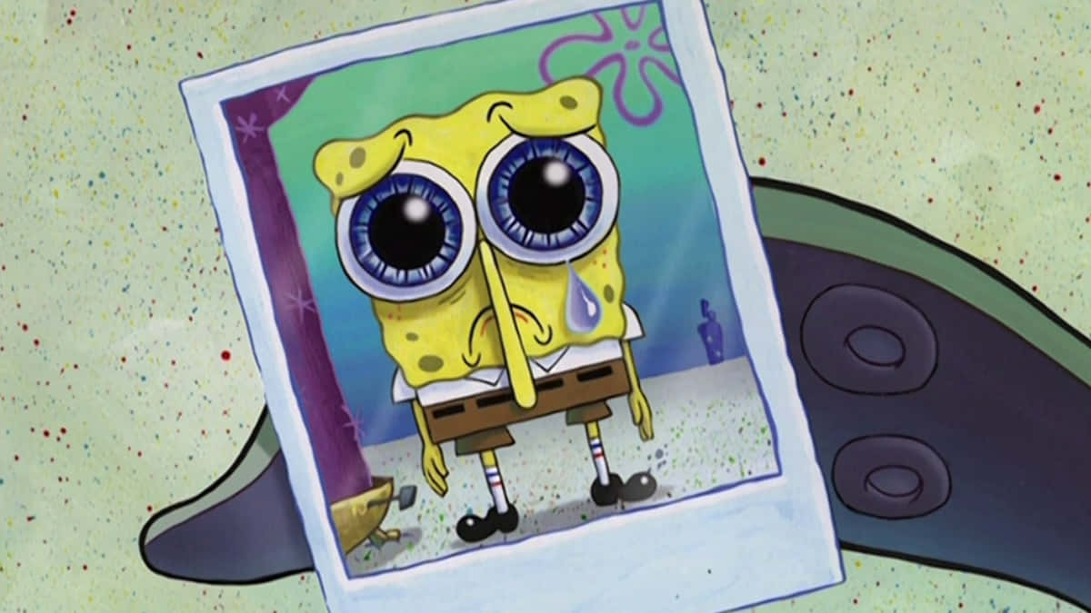 Spongebob, crying, yellow sponge, SD Desktop Wallpaper