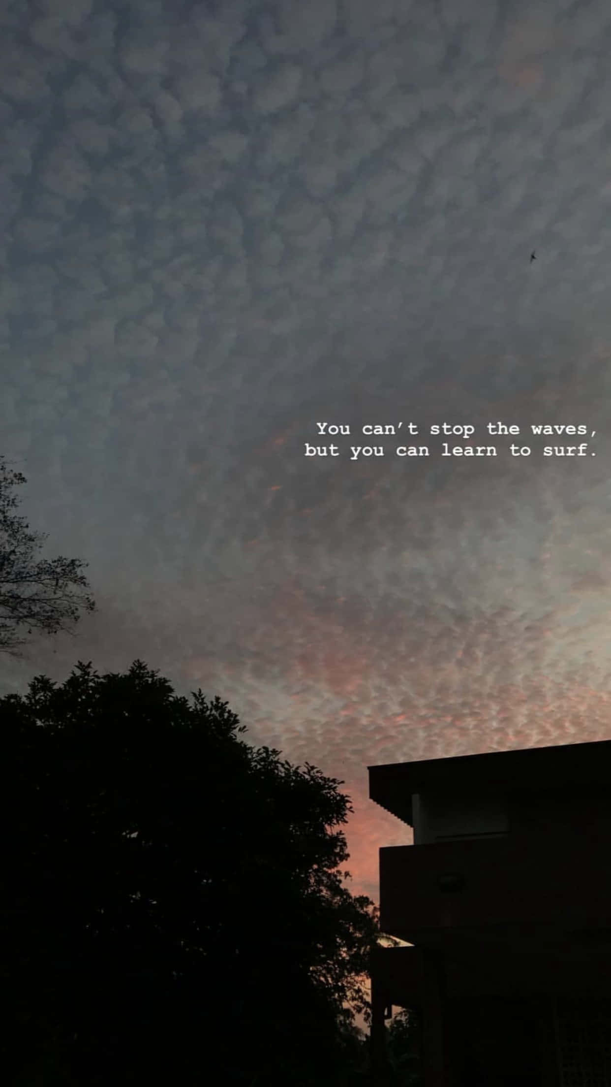 sunset, twilight sky, pink and orange clouds, Full HD Phone Wallpaper