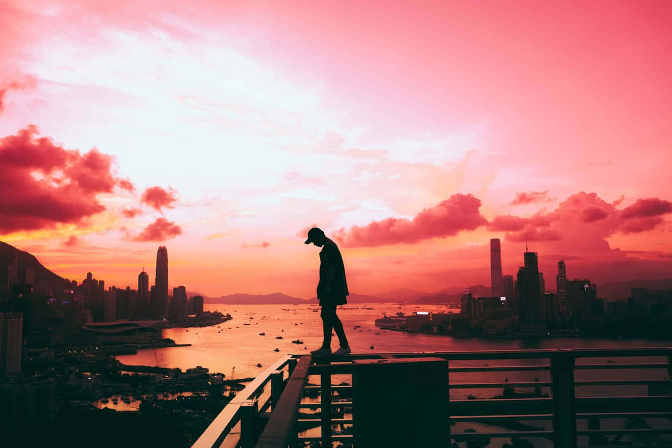 sunset, city harbor, vibrant pink and orange sunset, HD Desktop Wallpaper