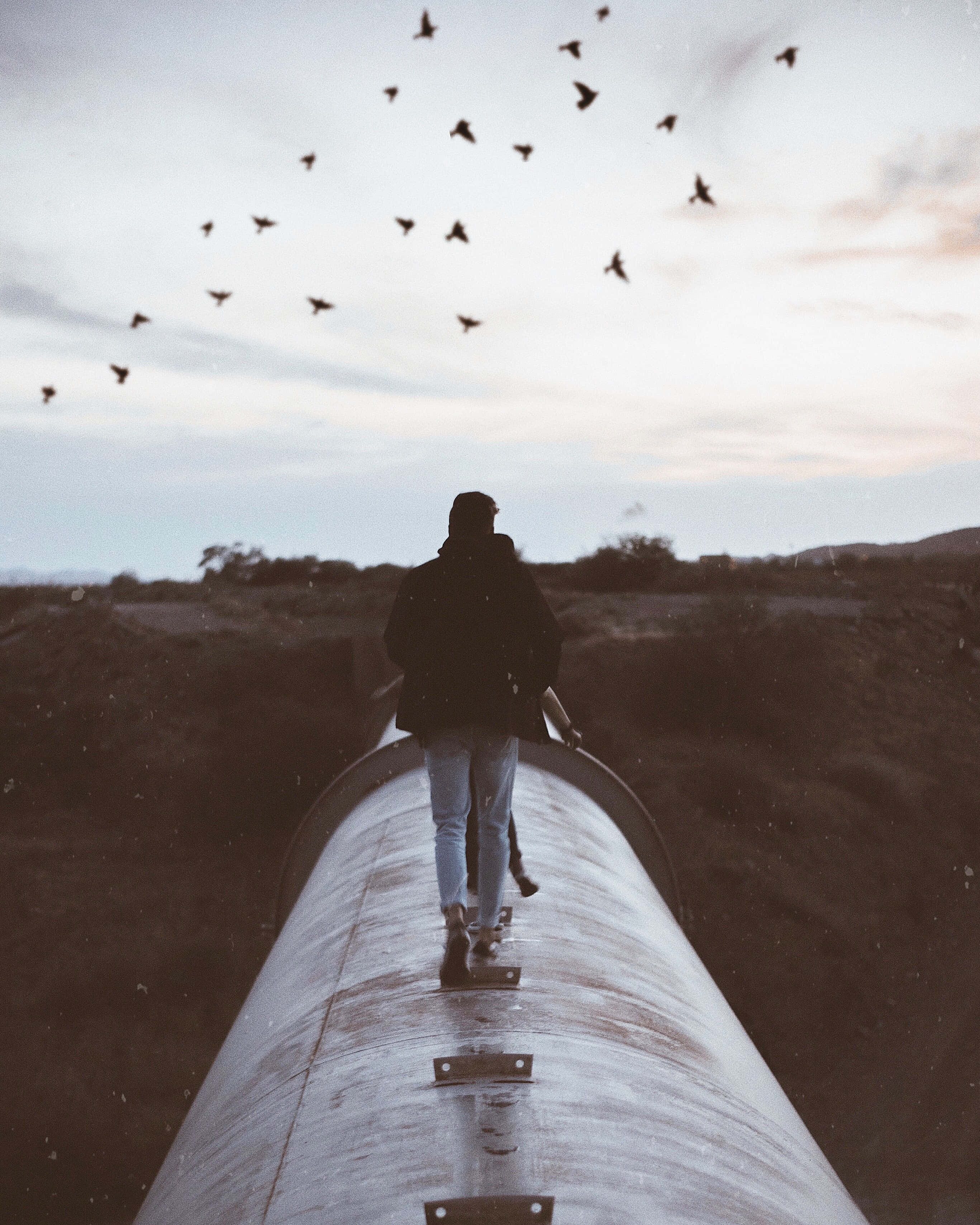 Sad Vibes, woman, birds, 2K Phone Wallpaper