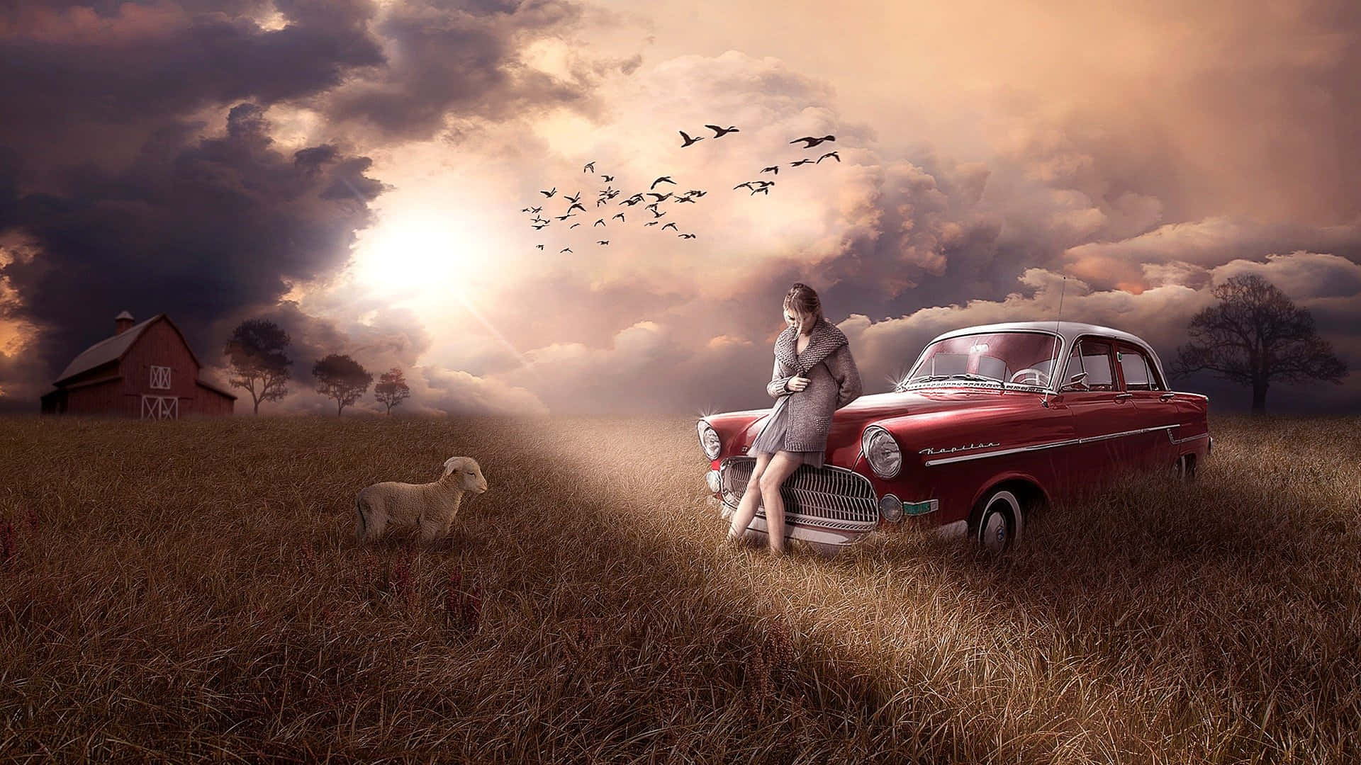vintage red car, golden field, lamb, Full HD Desktop Wallpaper
