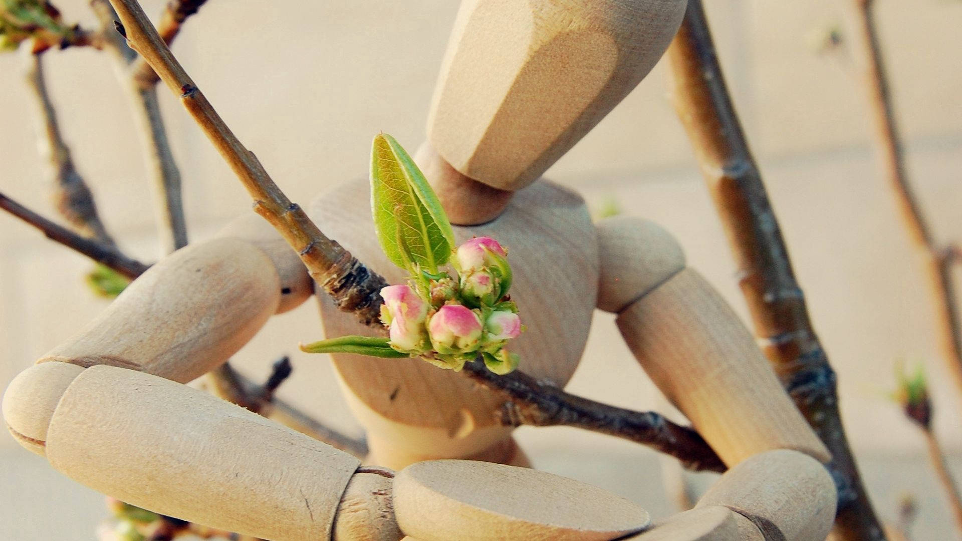 wooden mannequin, budding branch, pink flowers, Full HD Desktop Wallpaper