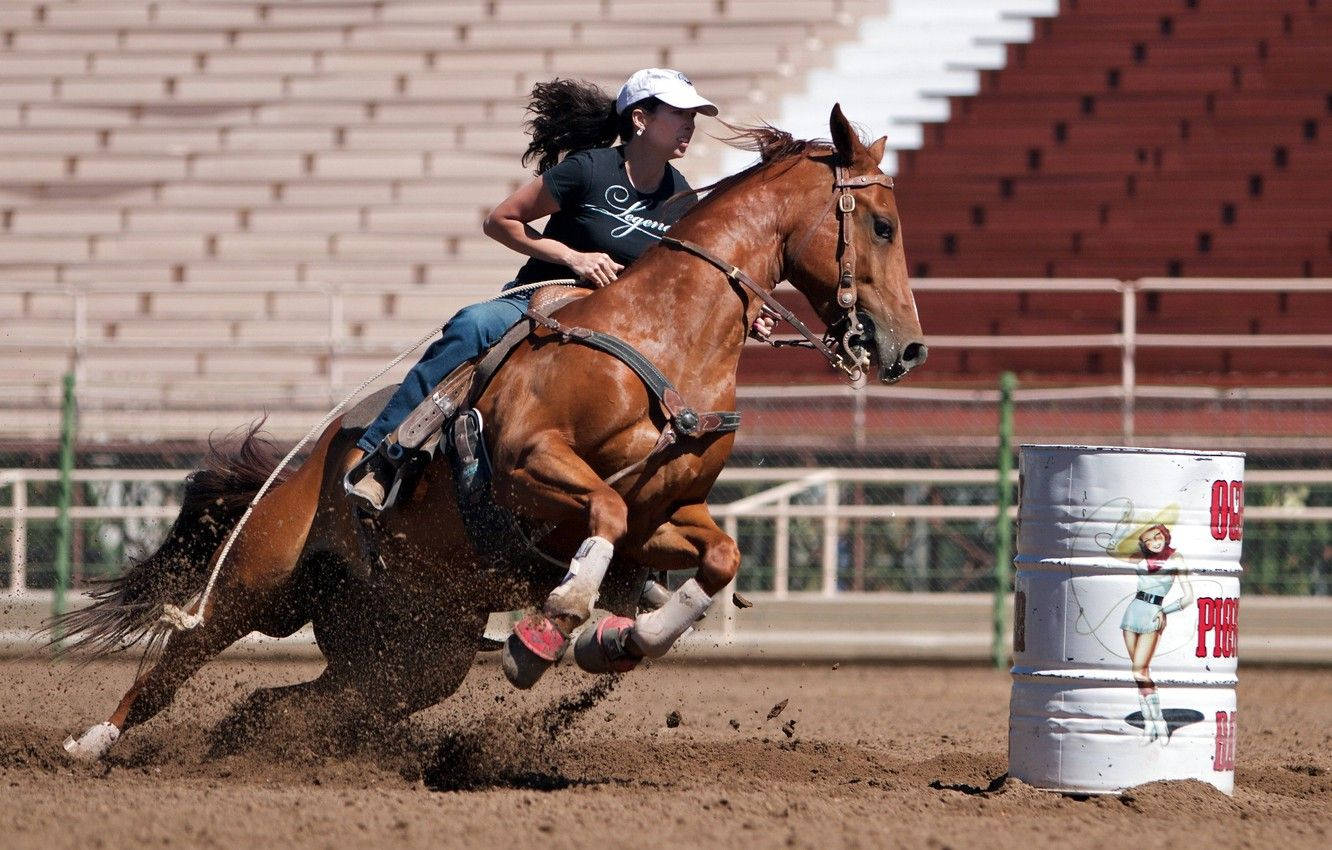 barrel racing, chestnut horse, white barrel, HD Desktop Wallpaper