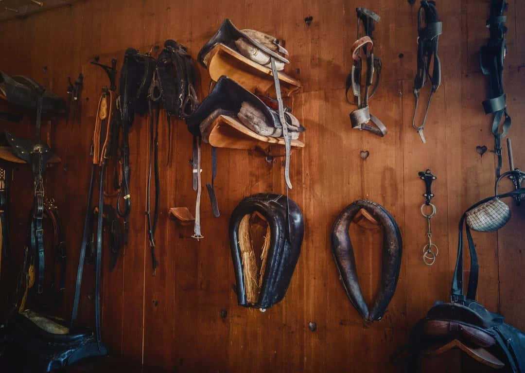 brown leather horse saddle, rustic wooden wall, stable, SD Desktop Wallpaper
