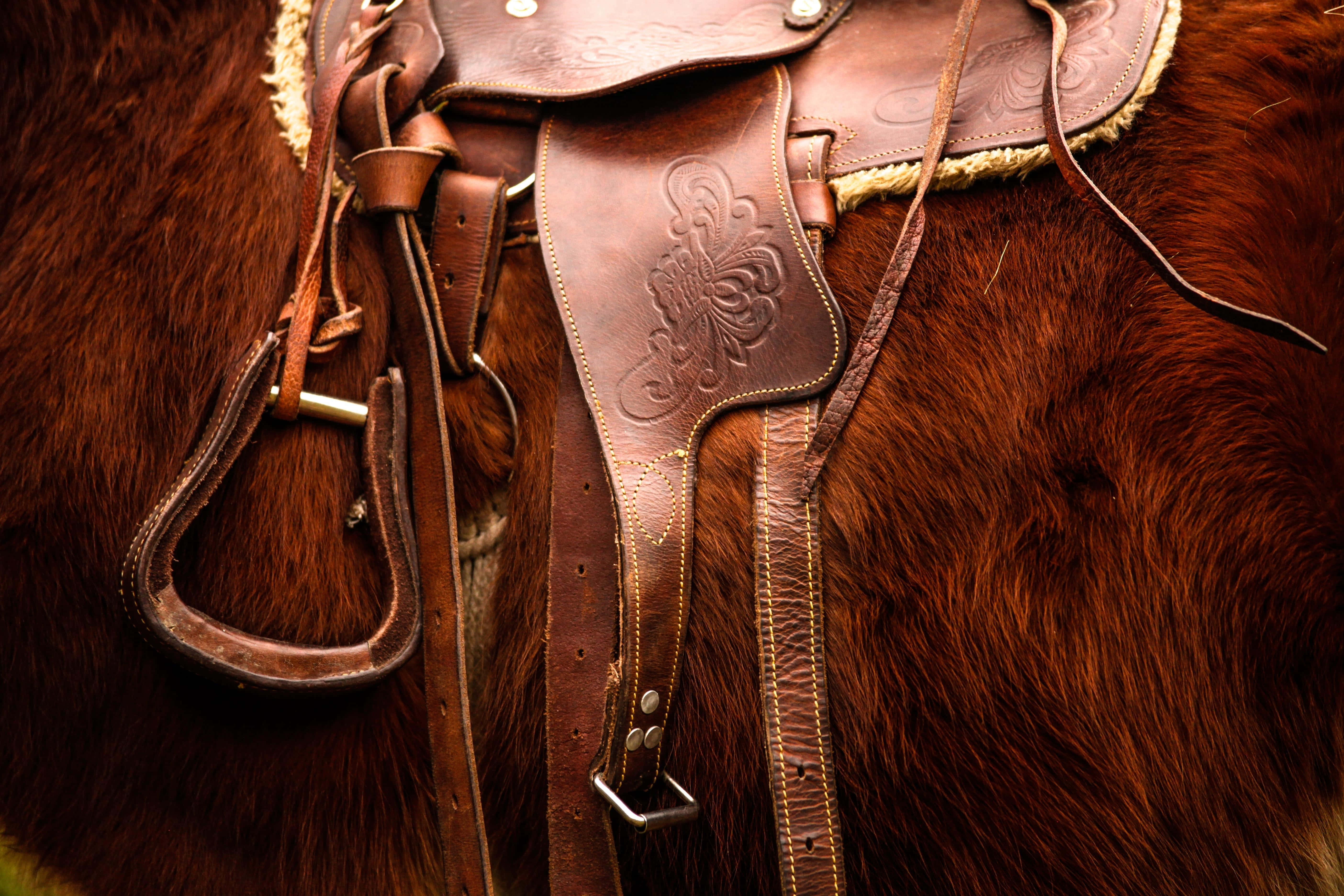 brown leather Western saddle, ornate stitching, rich chestnut horse, 5K Desktop Wallpaper