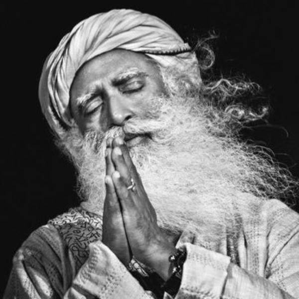 Sadhguru, long white beard, turban, SD Desktop Wallpaper