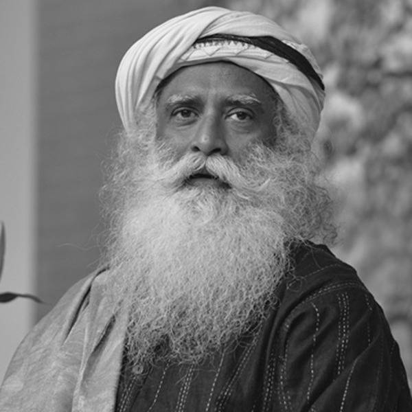 Sadhguru, long white beard, turban, SD Desktop Wallpaper
