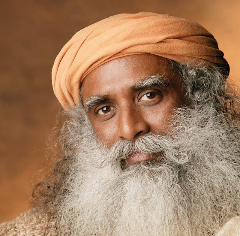 Sadhguru, orange turban, long gray beard, SD Desktop Wallpaper