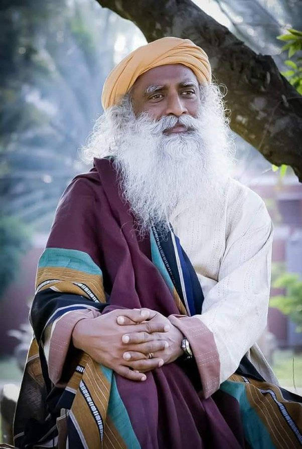 Sadhguru, tree, orange turban, SD Phone Wallpaper