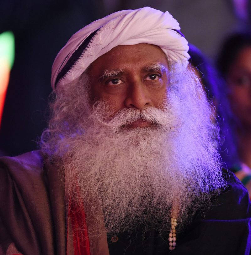 Sadhguru, long white beard, turban, SD Phone Wallpaper