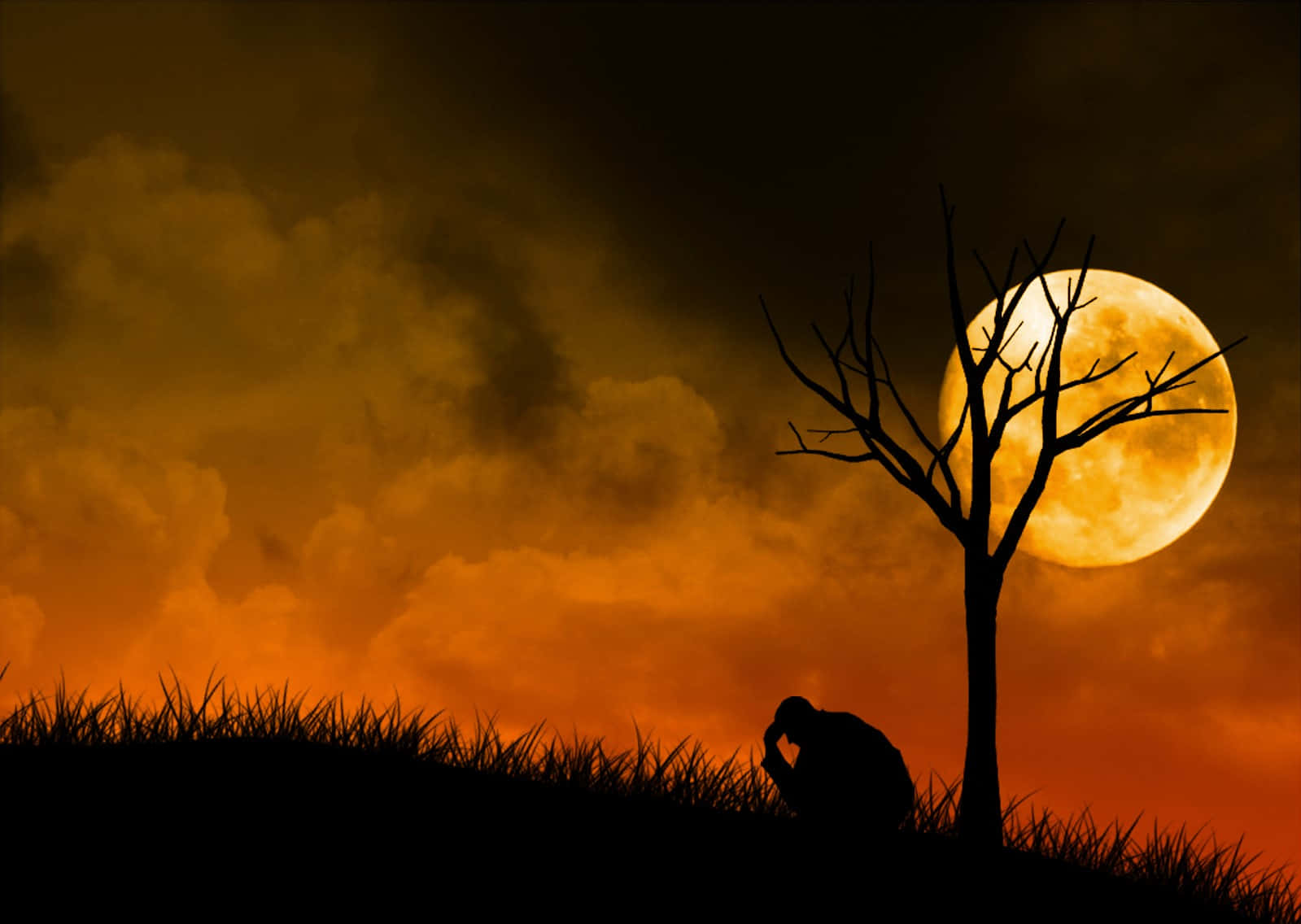 Sadness, tree, fiery orange sky, HD Desktop Wallpaper
