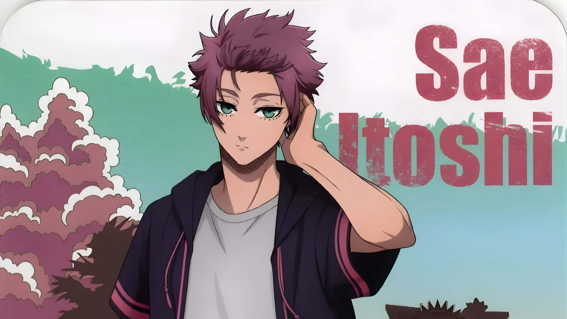 Sae Itoshi, spiky purple hair, green eyes, Full HD Desktop Wallpaper