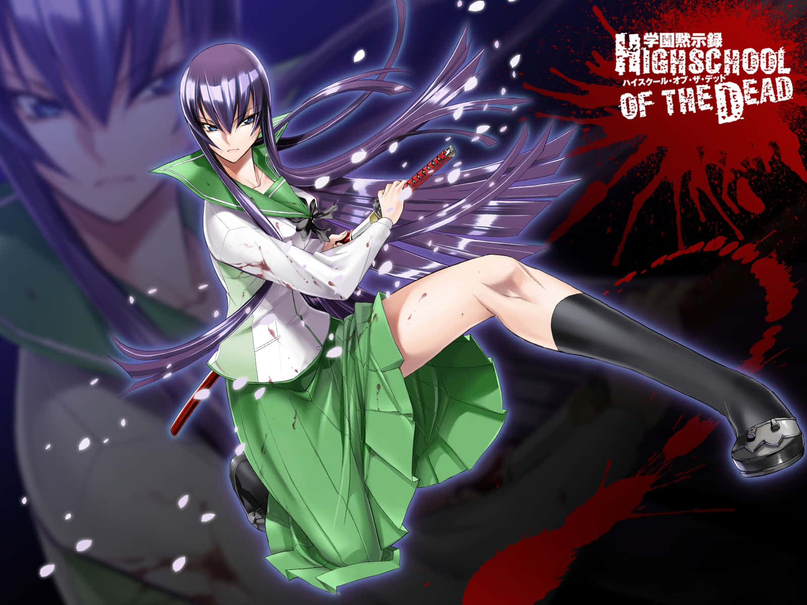 Saeko Busujima, purple hair, katana, HD Desktop Wallpaper