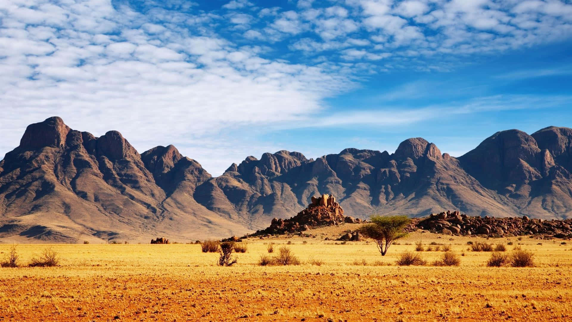 African Safari Landscape, golden desert plain, rugged brown mountains, Full HD Desktop Wallpaper