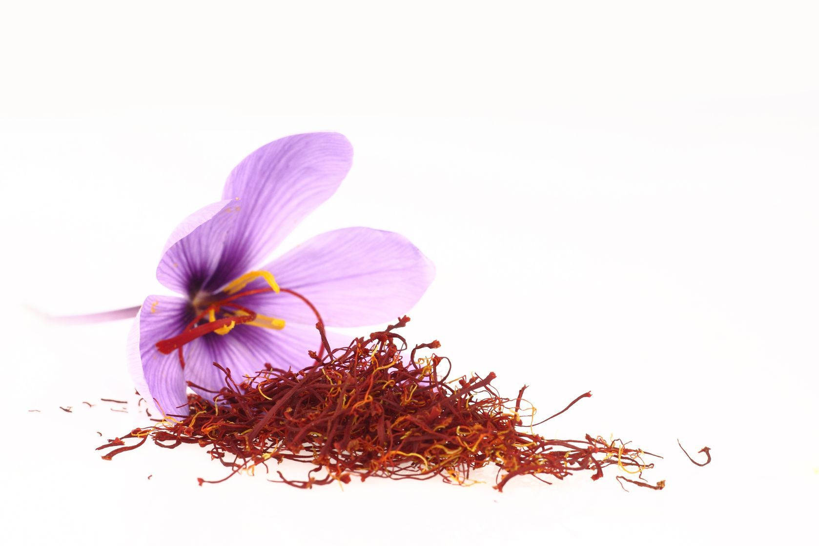saffron, purple saffron flower, vibrant red saffron threads, HD Desktop Wallpaper