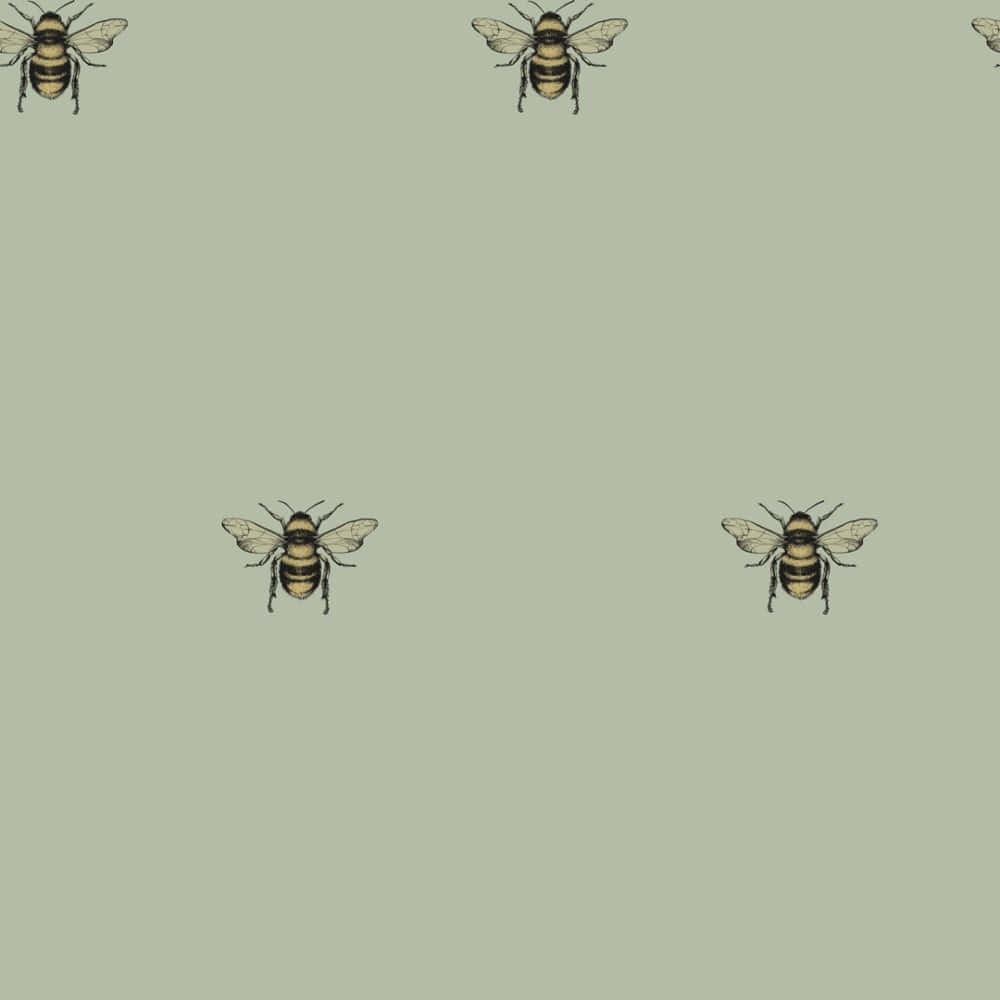 Serenity in Sage, honey bee, sage green, SD Desktop Wallpaper