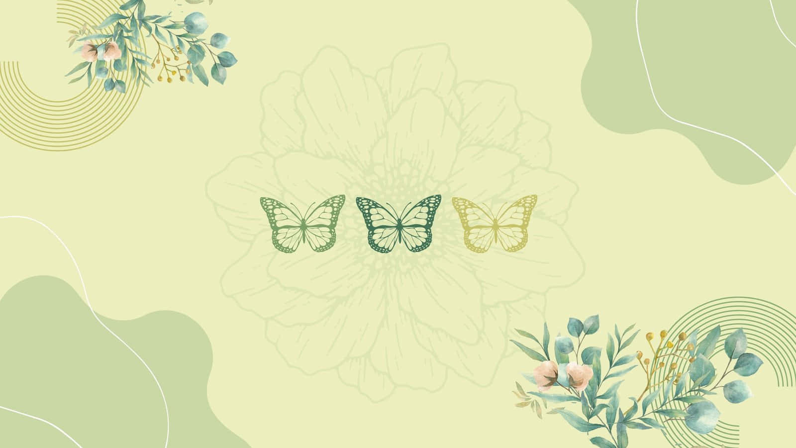 butterflies, flowers, green gold, HD Desktop Wallpaper